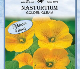 Nasturtium Golden Gleam