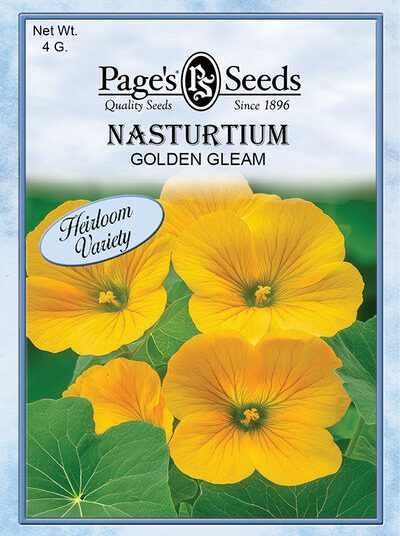 Nasturtium Golden Gleam