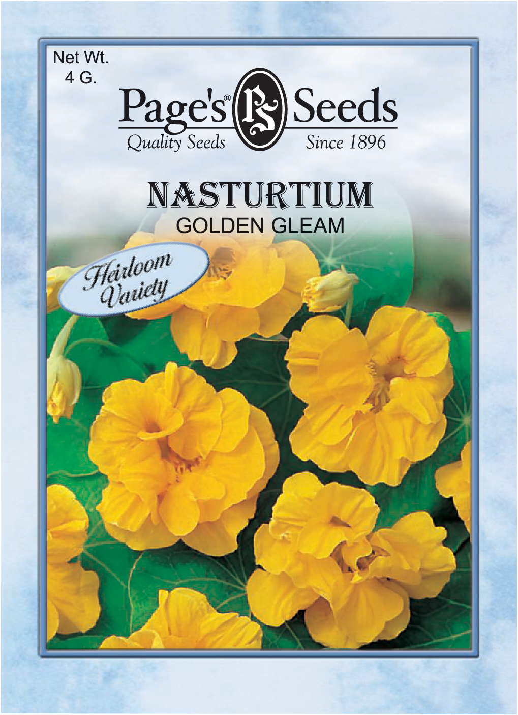 Nasturtium Golden Gleam The Page Seed Company Inc,Best Ceiling Fans Without Lights