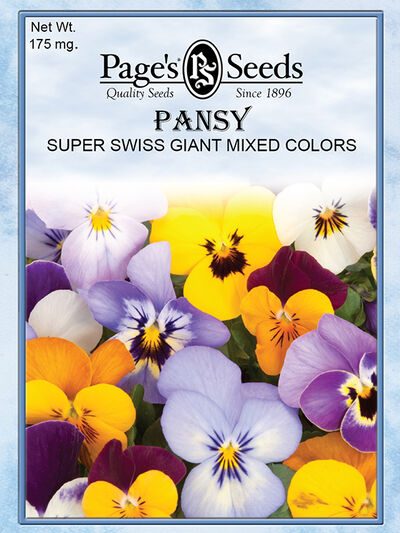 Pansy Super Swiss Giant Mixed Colors