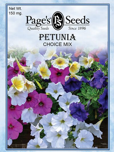 Petunia Choice Mixed Colors