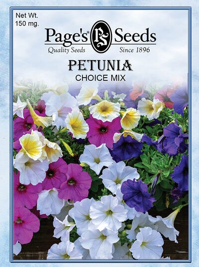 Petunia Choice Mixed Colors