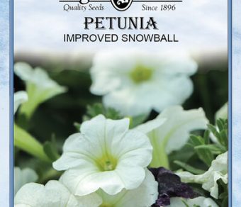 Petunia Improved Snowball