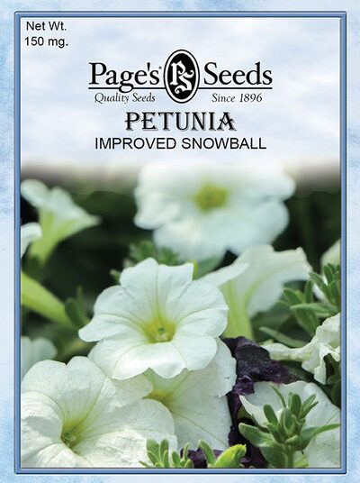 Petunia Improved Snowball