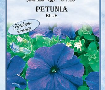 Petunia Dark Blue