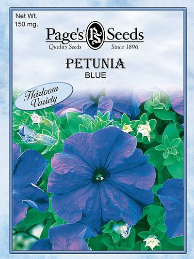 Petunia Dark Blue