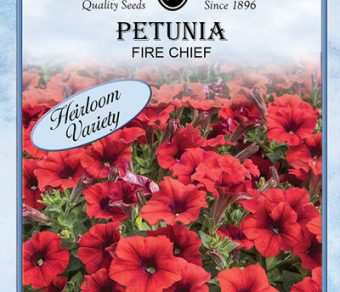 Petunia Fire Chief