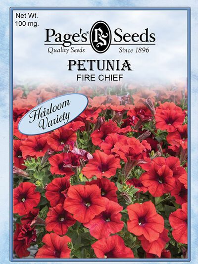 Petunia Fire Chief