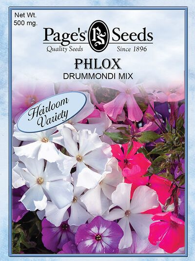 Phlox Drummondi Mix