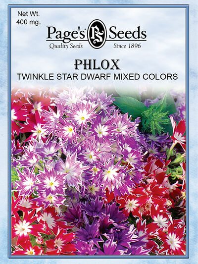 Phlox Twinkle Star Dwarf
