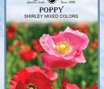 Poppy Shirley Mixed Colors