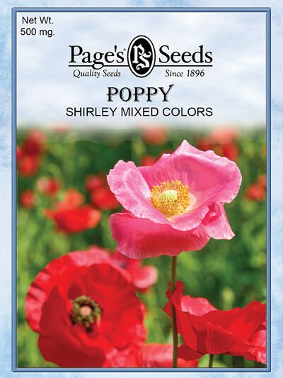 Poppy Shirley Mixed Colors