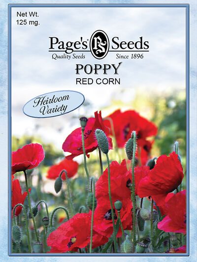 Poppy Red Corn