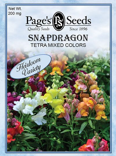 Snapdragon Tetra Mixed Colors