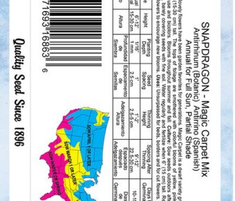 Snapdragon Magic Carpet Mixed Colors