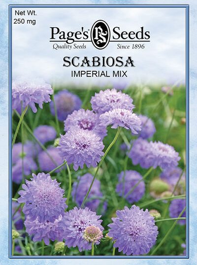 Scabosia Imperial Mix