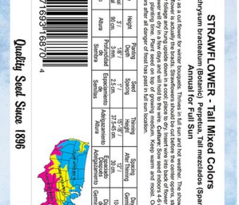 Strawflower Tall Mixed Colors