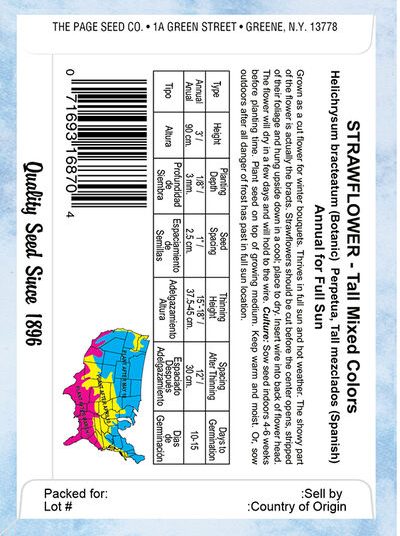 Strawflower Tall Mixed Colors