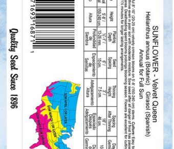 Sunflower Velvet Queen