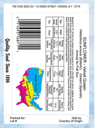 Sunflower Velvet Queen