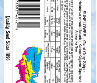 Sunflower Giant Grey Striped