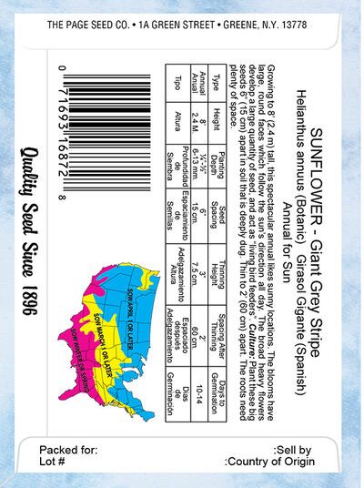 Sunflower Giant Grey Striped