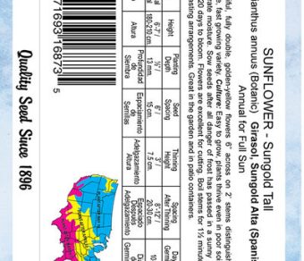 Sunflower Sungold Tall