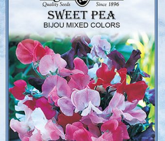 Sweet Pea Bijou