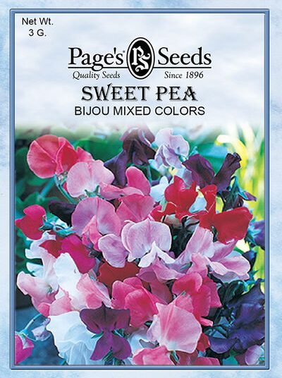 Sweet Pea Bijou