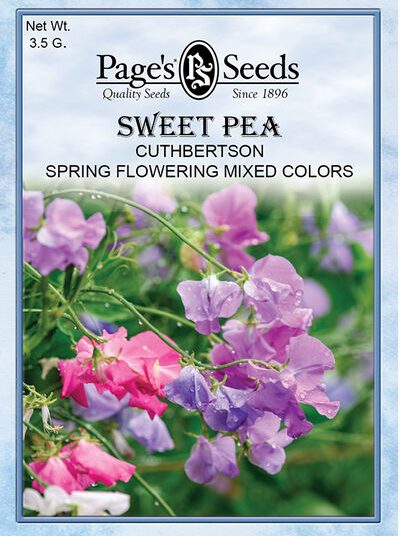 Sweet Pea Cuthbertson