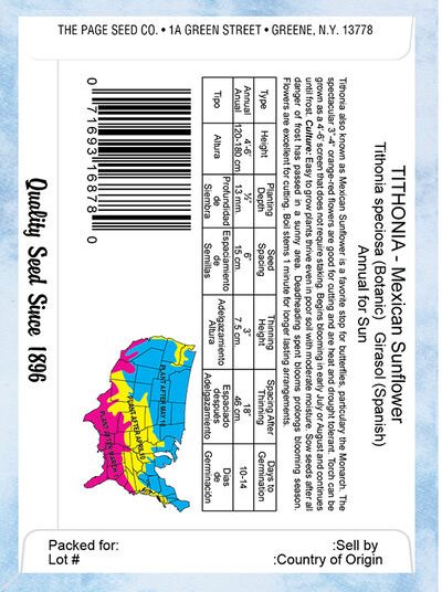 Tithonia Torch-Mexican