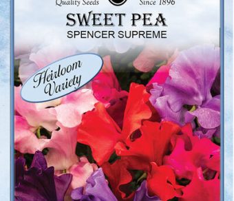 Sweet Pea Spencer Supreme