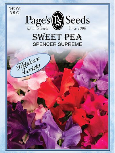 Sweet Pea Spencer Supreme