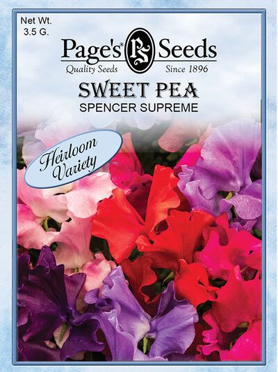 Sweet Pea Spencer Supreme