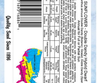 Sunflower Double Dandy Hybrid Dwarf