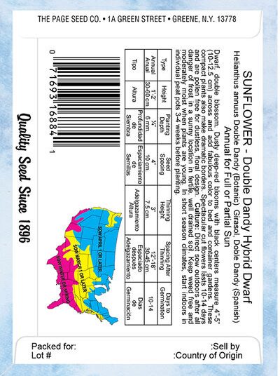 Sunflower Double Dandy Hybrid Dwarf