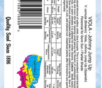 Viola Johnny Jump Up