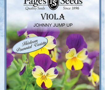 Viola Johnny Jump Up