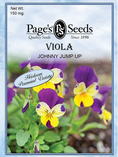 Viola Johnny Jump Up