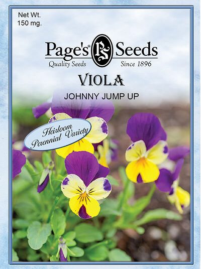 Viola Johnny Jump Up