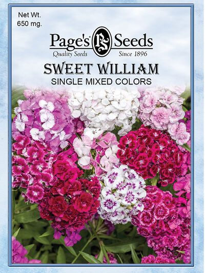 Sweet William Single Mix