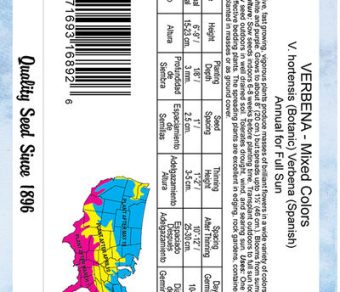 Verbena Mixed Colors