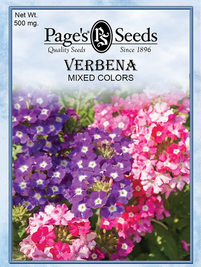 Verbena Mixed Colors