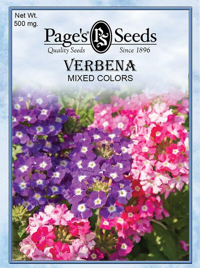 Verbena Mixed Colors