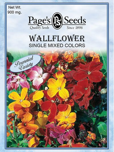 Wallflower Single Mixed Colors