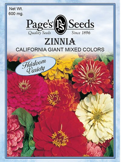 Zinnia California Giant