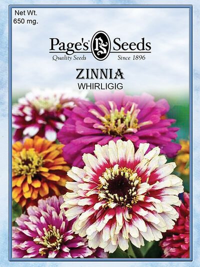 Zinnia Whirligig