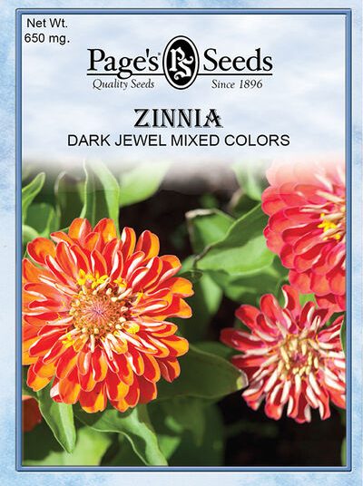 Zinnia Dark Jewel