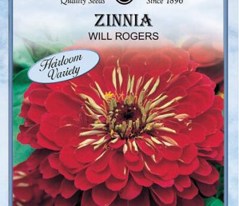Zinnia Will Rogers