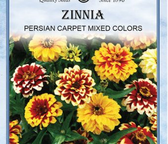 Zinnia Persian Carpet